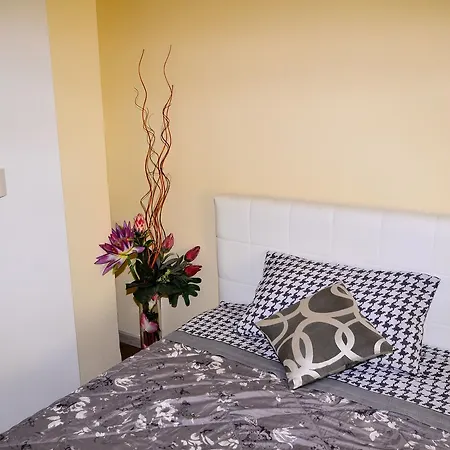 Guest house Lidiya 3*